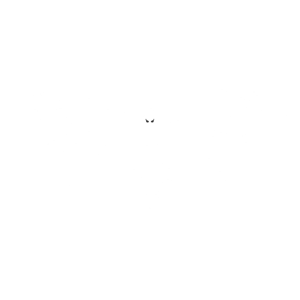 Shinigami Styles